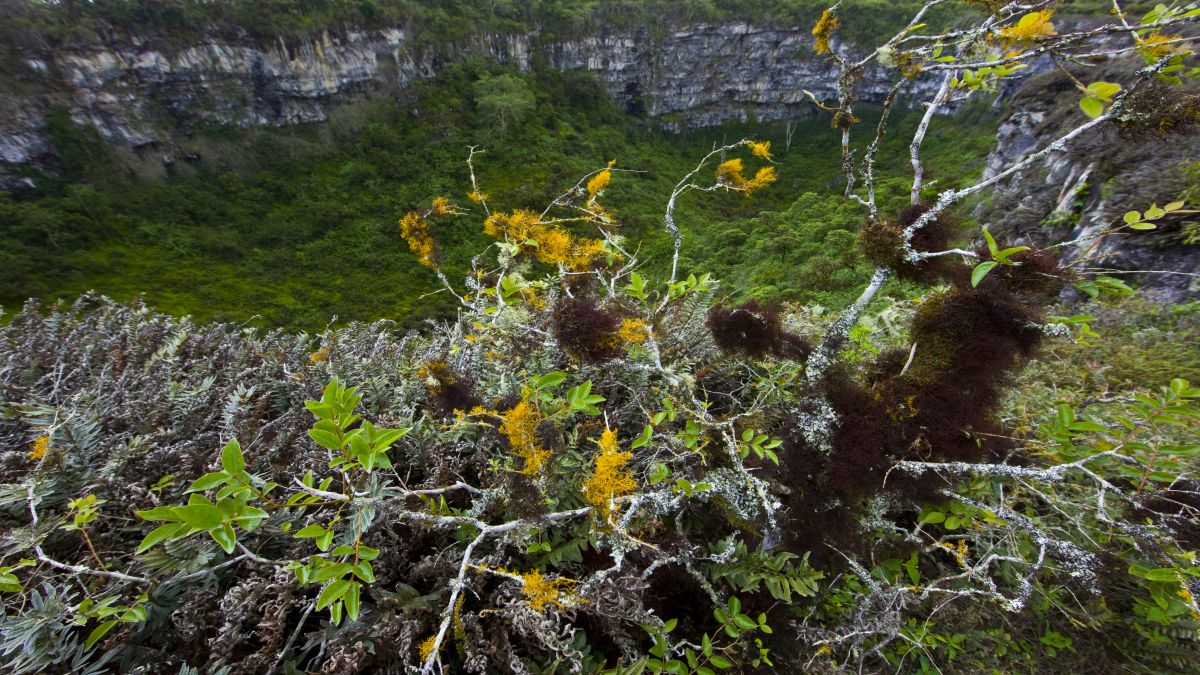 Galápagos világa: San Cristóbal-sziget - OTP Travel Utazási Iroda