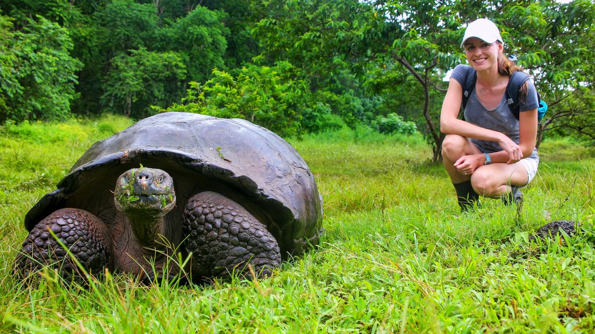 Galápagos világa: Santa Cruz-sziget - OTP Travel Utazási Iroda