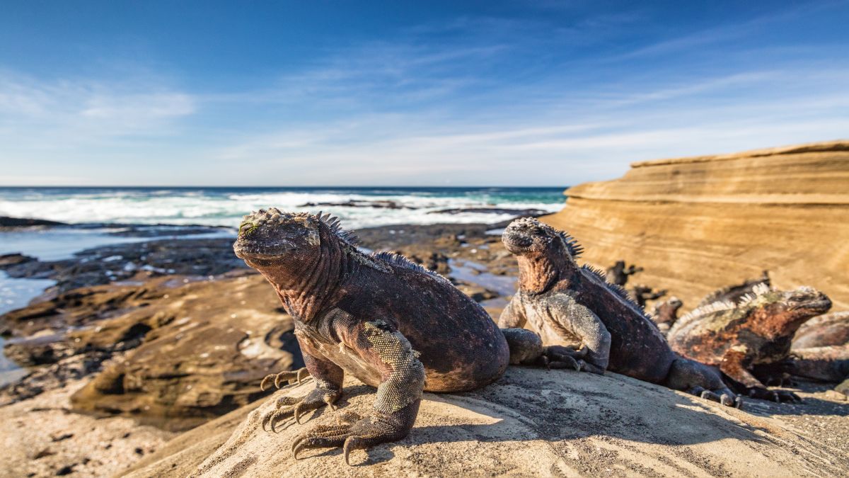 Galápagos világa: San Cristóbal-sziget - OTP Travel Utazási Iroda