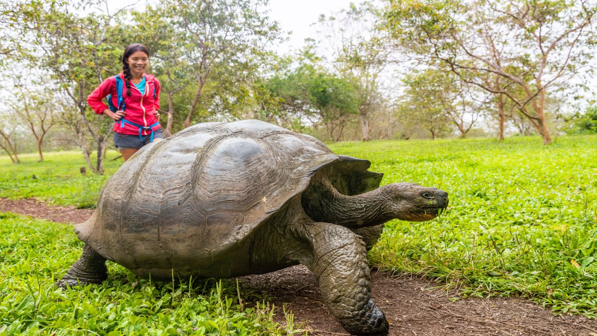 Ecuadori kalandok és Galápagos világa - OTP Travel utazási iroda