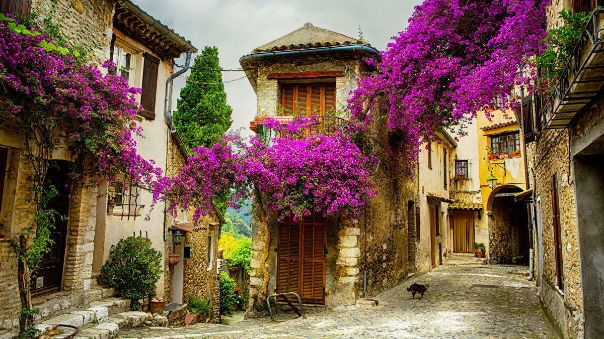 Provence varázslatos vidékein