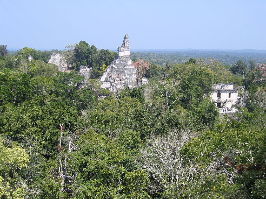 Tikal12