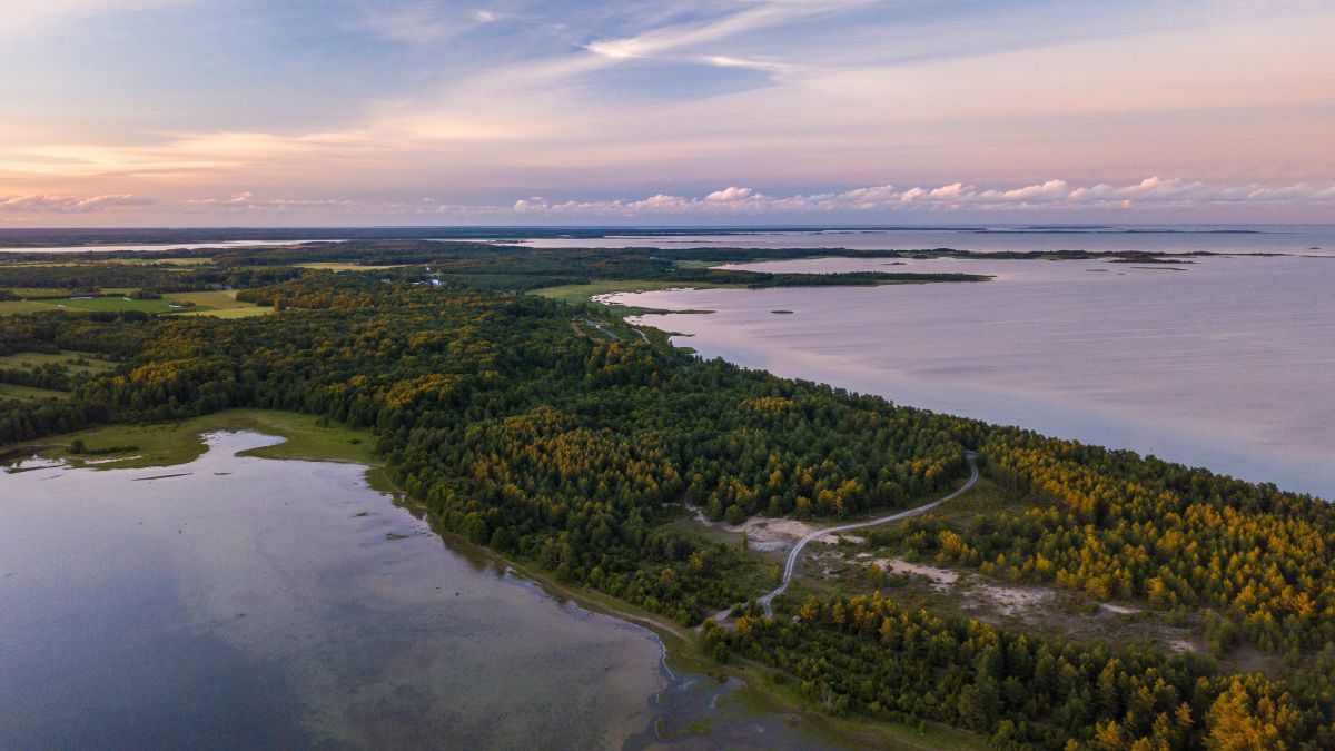 6 érdekesség Észtországról - OTP Travel Utazási Iroda