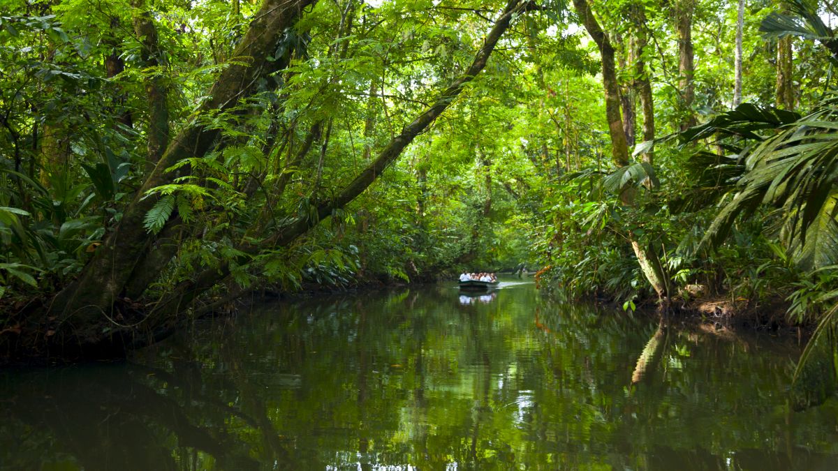 Costa Rica | 8 kuriózum a csodás Costa Ricá-ról - OTP Travel Utazási Iroda