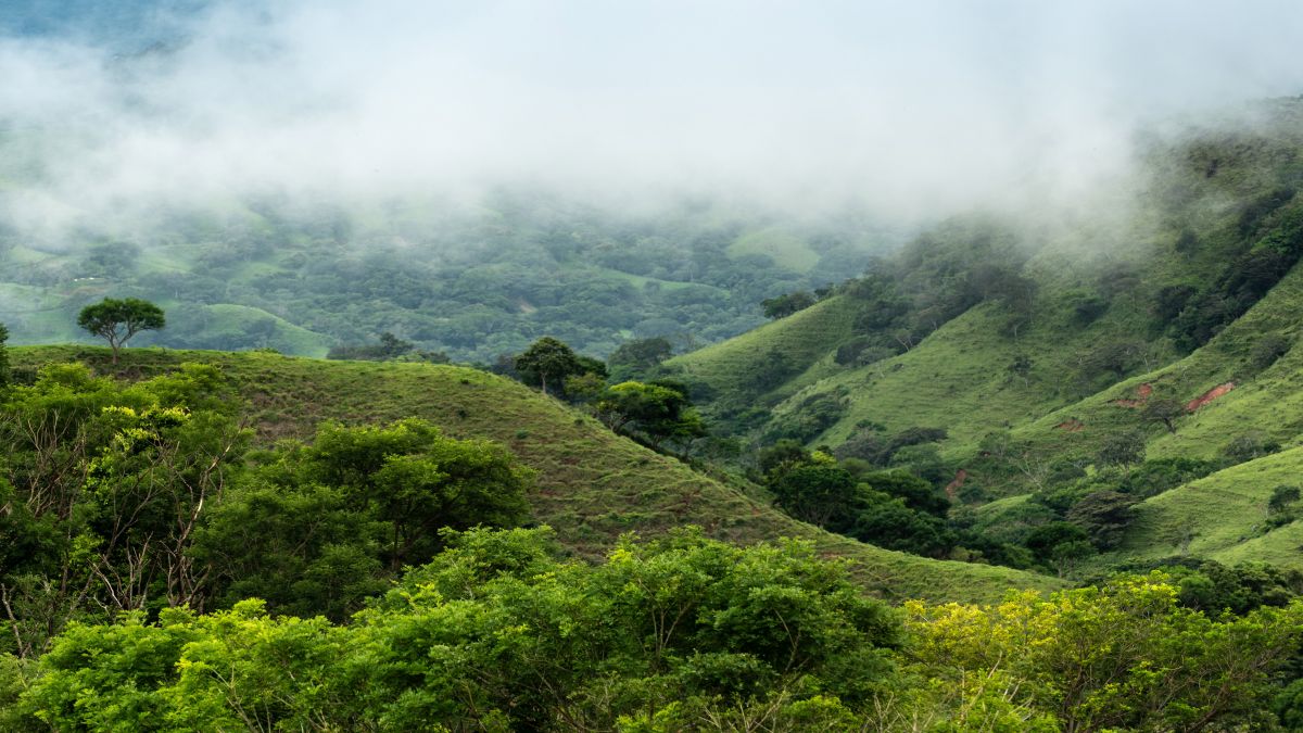 Costa Rica | 8 kuriózum a csodás Costa Ricá-ról - OTP Travel Utazási Iroda