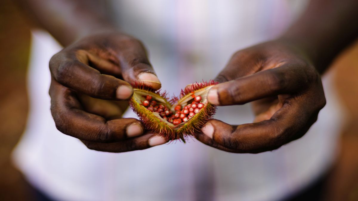 A fehér homokos partokon túl – miért éppen Zanzibár? - OTP Travel Utazási Iroda