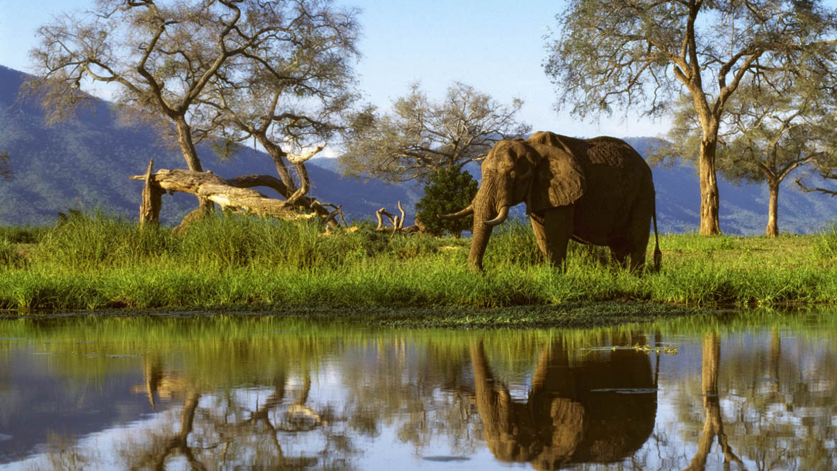 Afrika szafari Zimbabwe utazás - OTP Travel Utazási iroda