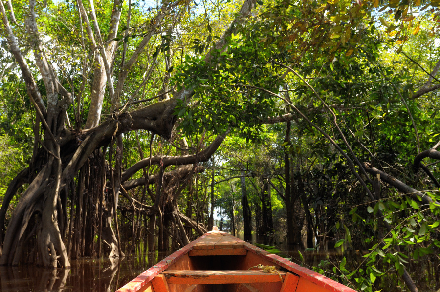 Amazónia top 10 - OTP Travel Utazási Iroda