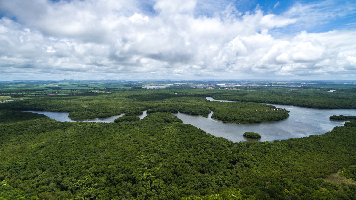 Brazília Amazonia top 10 - OTP Travel Utazási Iroda