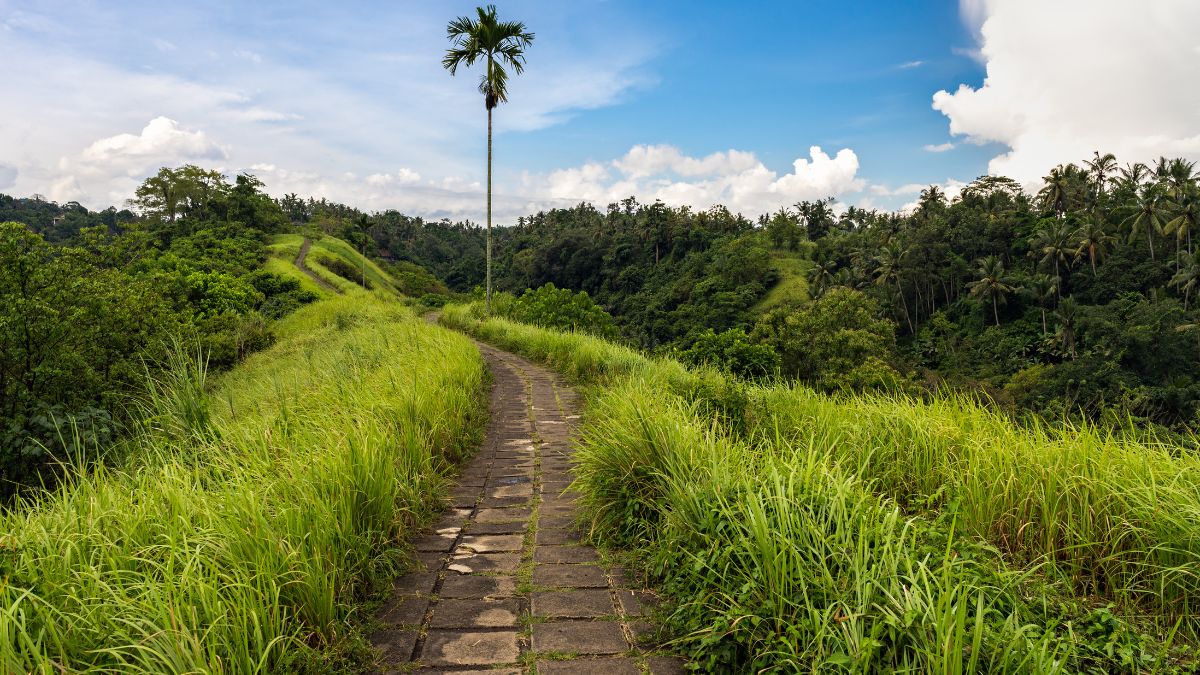 Bali - a legjobb programok családdal - OTP Travel Utazási Iroda