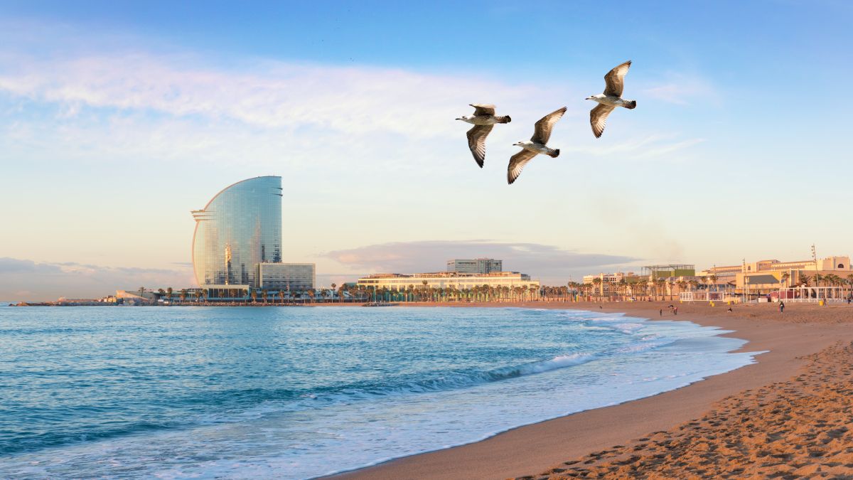 Barcelonai tengerpart-mustra - OTP Travel Utazási Iroda