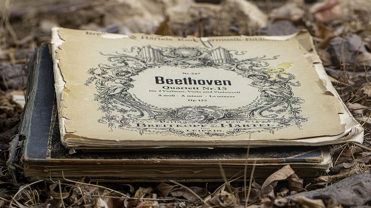 Németország | Beethoven csak egy van - OTP Travel Utazási Iroda