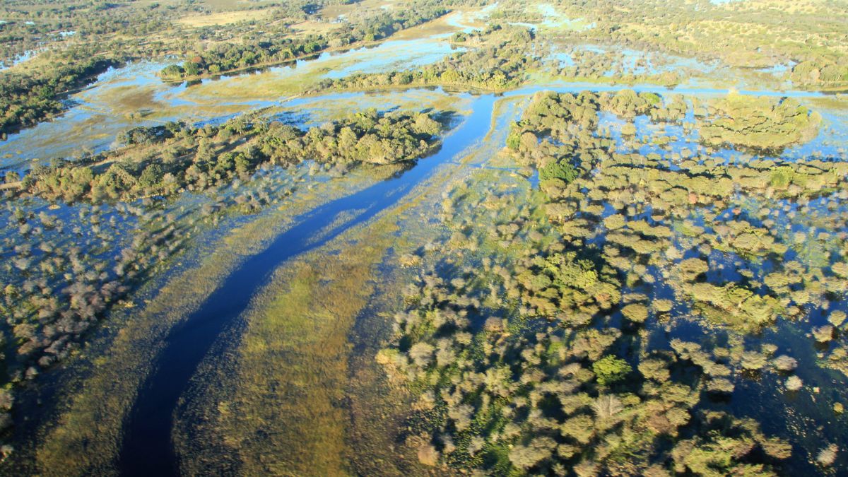 A vadregényes Okavango delta - OTP Travel Utazási Iroda