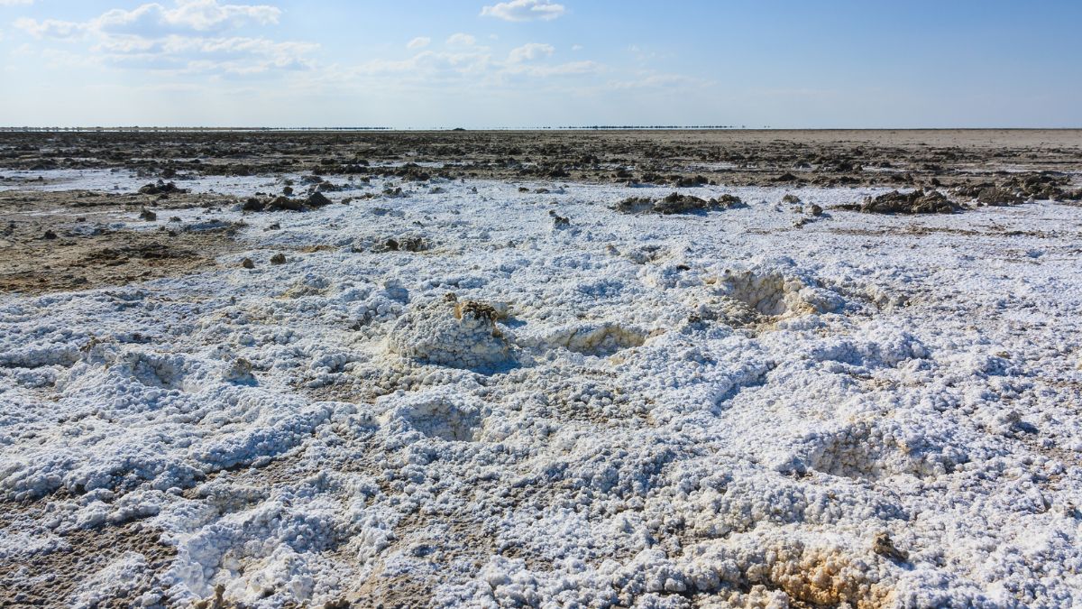 A vadregényes Okavango delta - OTP Travel Utazási Iroda