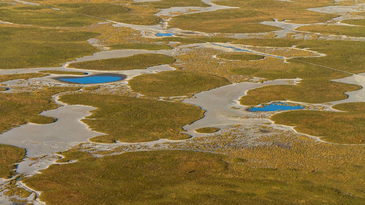 A vadregényes Okavango delta - OTP Travel Utazási Iroda