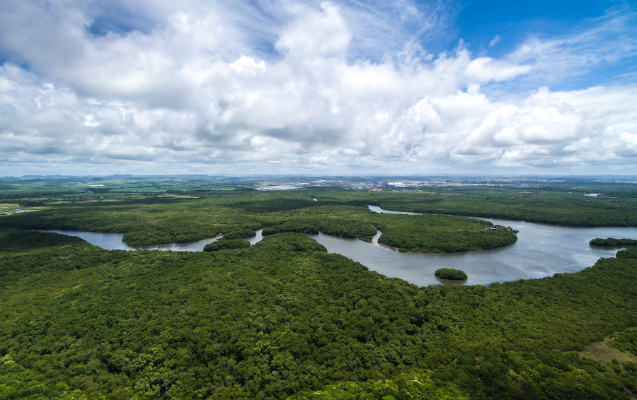 Brazilia vagy Argentina - OTP TRAVEL utazási iroda