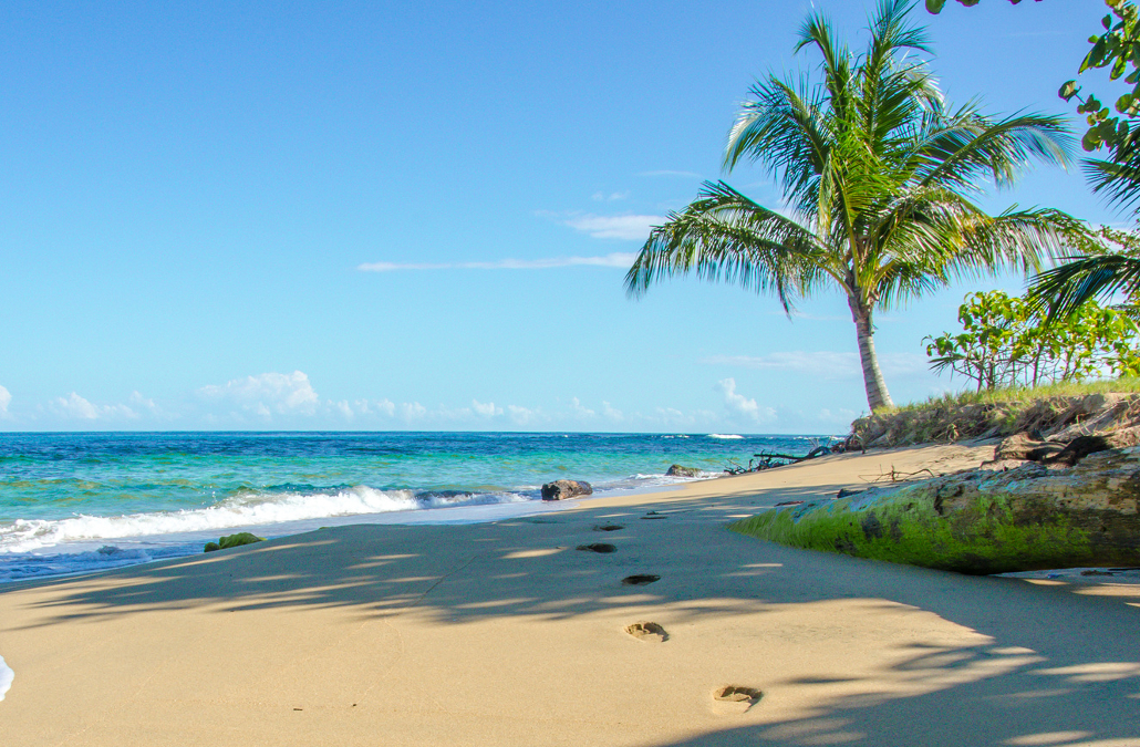 Pura vida, Costa Rica - OTP Travel Utazási Iroda