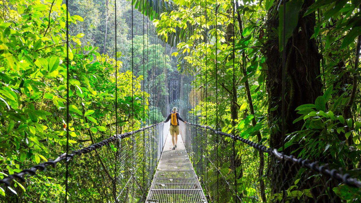 Costa Rica - egy békés, hadsereg nélküli ország - OTP Travel Utazási Iroda