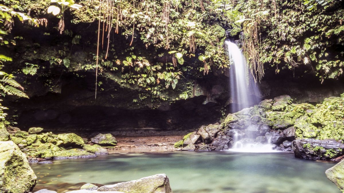 10 érdekesség a Dominikai Köztársaságról - OTP Travel Utazási Iroda