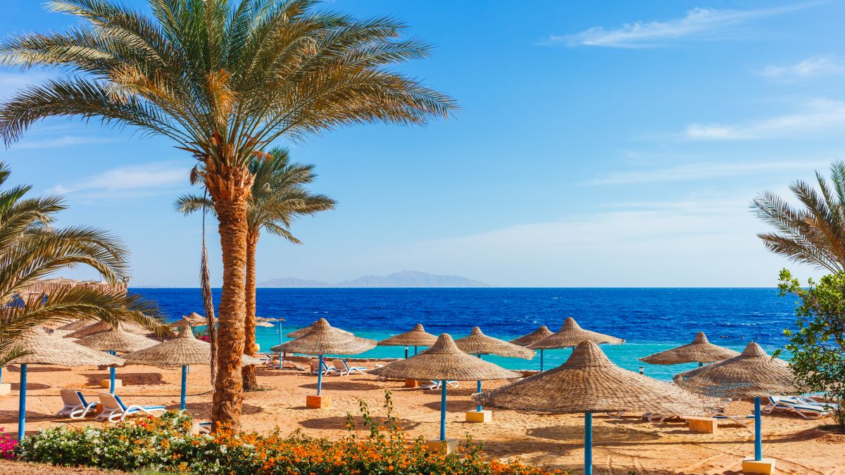 Sharm el Sheikh - tengeri kalandok - OTP Travel Utazási Iroda