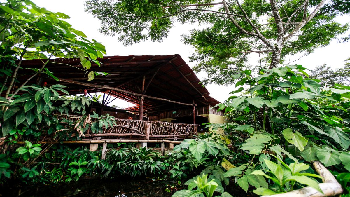 Costa Rica | Fenntartható turizmus Costa Ricán - OTP Travel Utazási Iroda