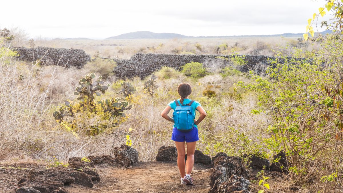 Galápagos világa: Isabela-sziget - OTP Travel Utazási Iroda