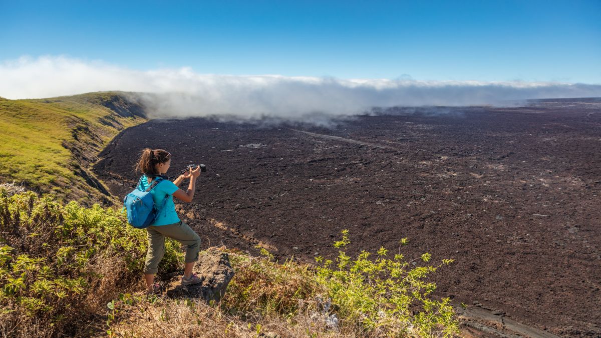 Galápagos világa: Isabela-sziget - OTP Travel Utazási Iroda