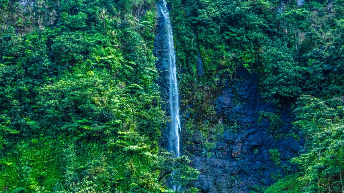 Francia Polinézia - Gauguin múzsája, Tahiti - OTP Travel utazási iroda