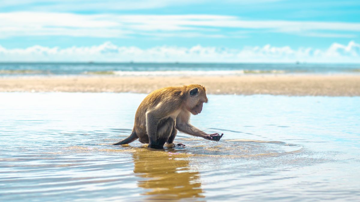 Huahin, a halászfaluból lett királyi nyaralóhely - OTP Travel Utazási Iroda