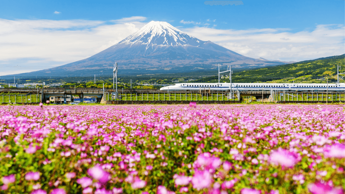 Japán utazás: Több mint vonat – Shinkansen! - OTP Travel Utazási Iroda