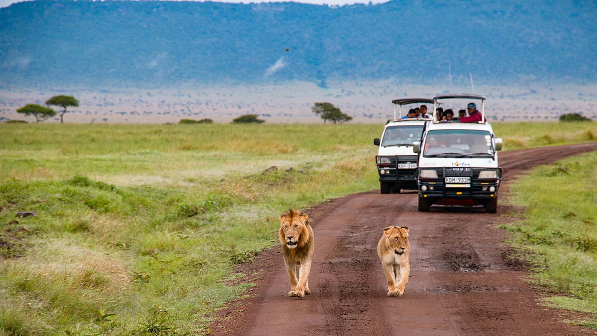 Fókuszban: Kenya | OTP TRAVEL Utazási Iroda