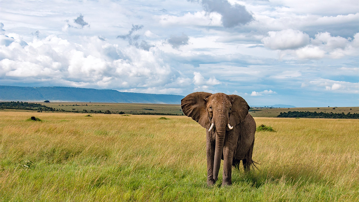 Kenya top 10 látványosága | OTP TRAVEL Utazási Iroda