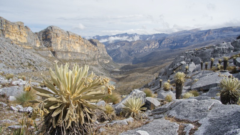 Kolumbia utazás | El Cocuy Nemzeti Park - OTP Travel Utazási Iroda