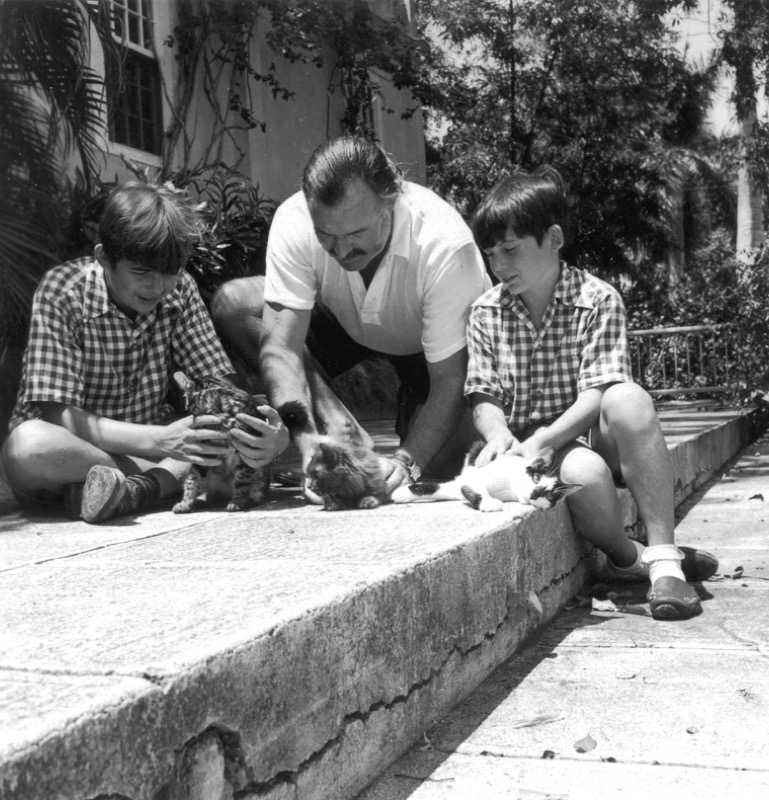 Kuba, Havanna, Hemingway és fiai cicákkal játszanak a Finca Vigía teraszán - OTP Travel Utazási Iroda