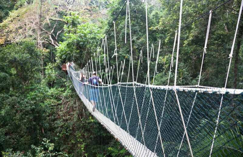 Malajzia nevezetességek | Taman Negara - OTP Travel Utazási Iroda