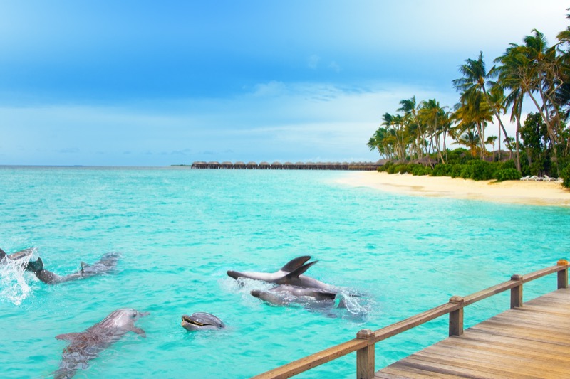 Maldív-szigetek turizmus - OTP Travel Utazási Iroda
