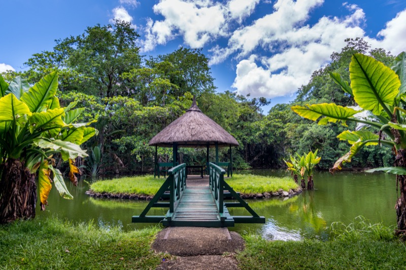 Mauritius | Sir Seewoosagur Ramgoolam botanikuskert - OTP Travel Utazási Iroda