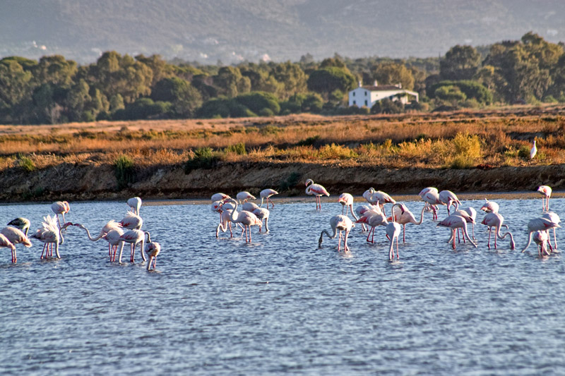 Portugália családdal | Ria Formosa Nemzeti Park - OTP Travel Utazási Iroda