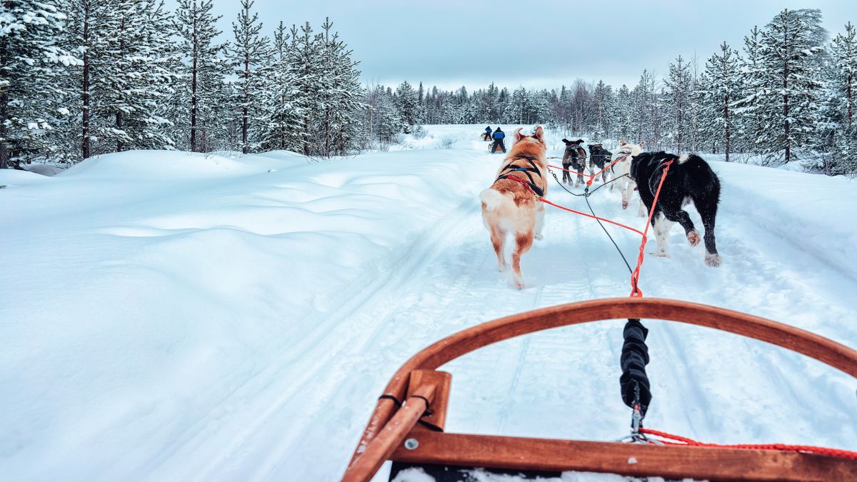 Sarkköri élmények a Kola-félszigeten - OTP Travel Utazási Iroda