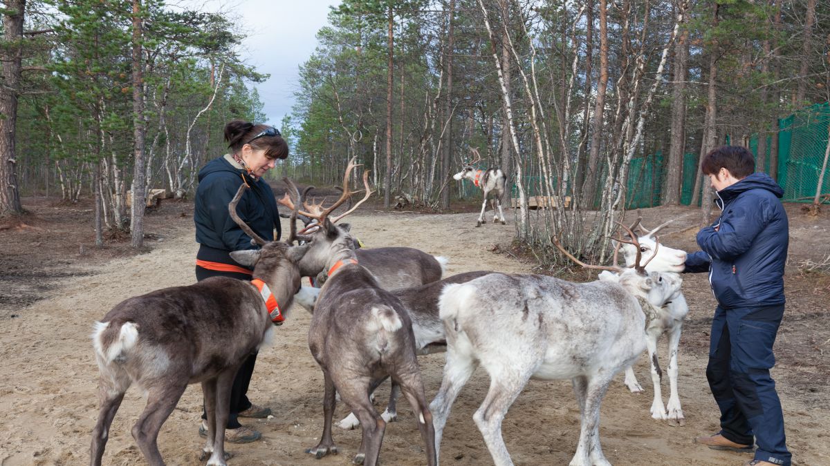 Sarkköri élmények a Kola-félszigeten - OTP Travel Utazási Iroda