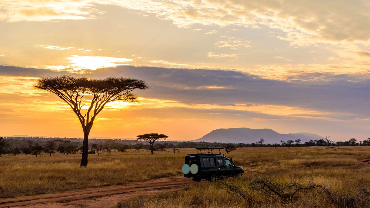 12 hónap az afrikai szavannán - OTP Travel Utazási Iroda