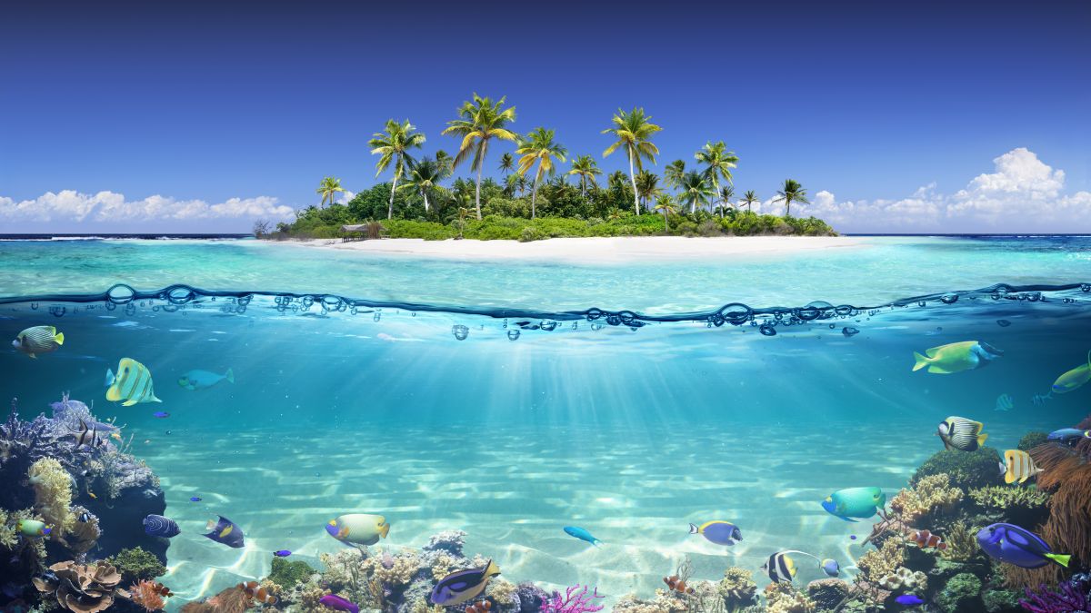  Seychelles érintetlen szigetei - OTP Travel Utazási Iroda