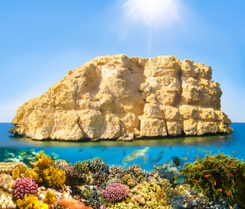 Sharm el Sheikh, Ras Mohammed - OTP Travel Utazási Iroda