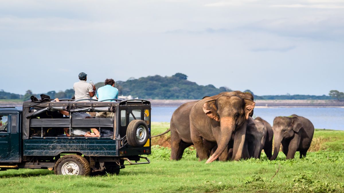 Sri Lanka 5 rejtett kincse - OTP Travel Utazási Iroda