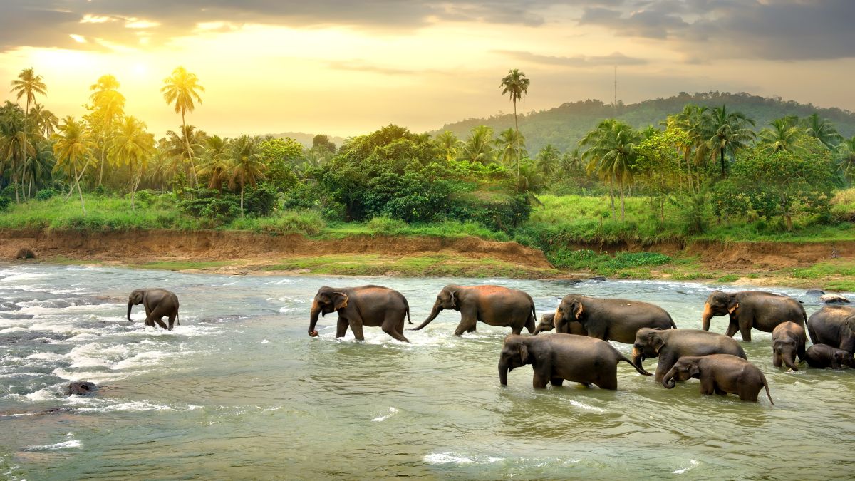 Sri Lanka 5 rejtett kincse - OTP Travel Utazási Iroda