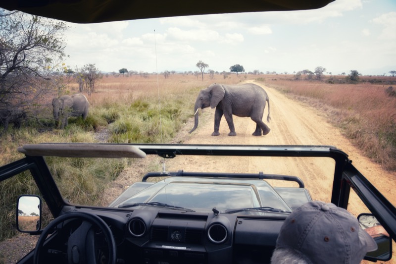 Tanzánia | Mikumi Nemzeti Park - OTP Travel Utazási Iroda