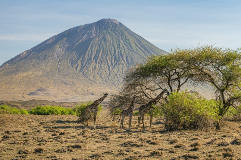 Tanzánia | Natron-tó - OTP Travel Utazási Iroda