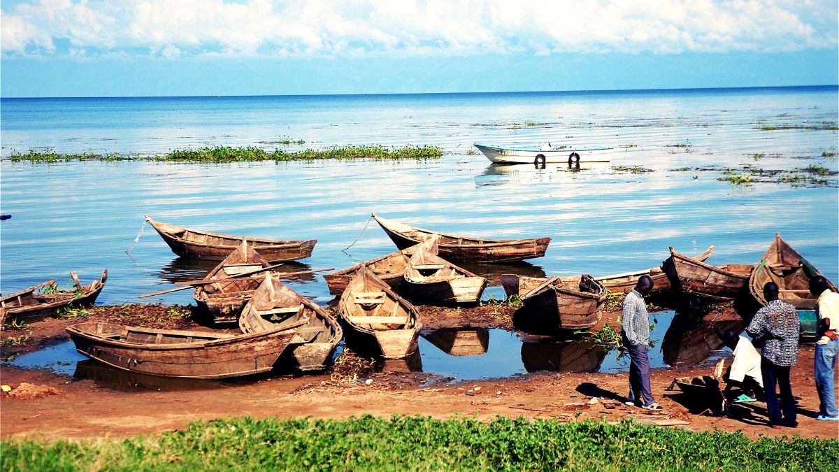 10 érdekesség Ugandáról - OTP Travel Utazási Iroda