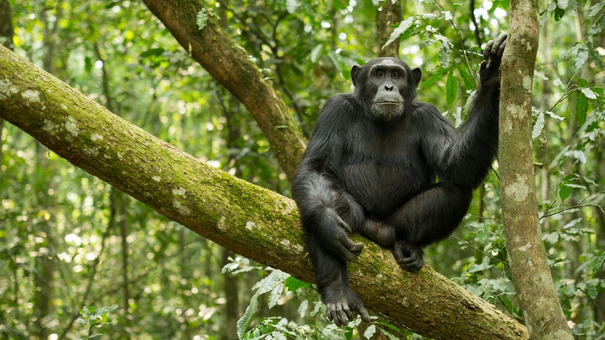 A vadregényes Okavango delta - OTP Travel Utazási Iroda