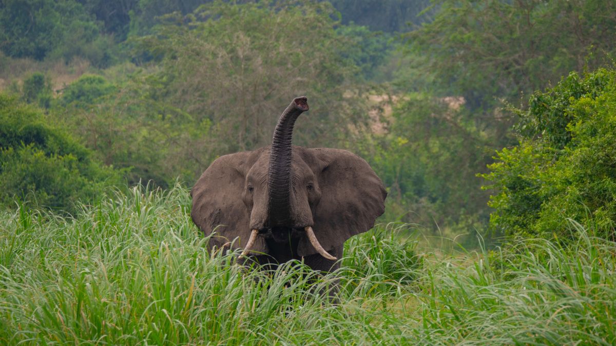 A vadregényes Okavango delta - OTP Travel Utazási Iroda